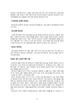 워터파크 산업의 문제점과 경쟁전략-7