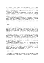워터파크 산업의 문제점과 경쟁전략-11