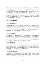 워터파크 산업의 문제점과 경쟁전략-13