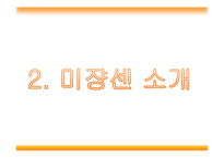 미쟝센 마케팅분석-5