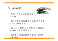 미쟝센 마케팅분석-19