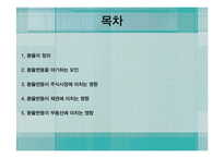 환율변동이 금융상품에 미치는 영향-2