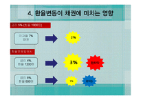 환율변동이 금융상품에 미치는 영향-10