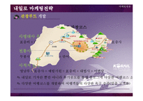 코레일 내일로 마케팅전략-12