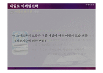 코레일 내일로 마케팅전략-13