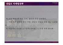 코레일 내일로 마케팅전략-15