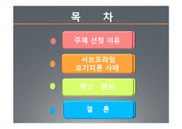 [국제금융] 서브프라임모기지 사태와 엔고의 연관성-2