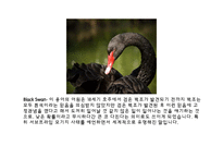 경제학의 응용과 한계-13