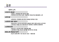 [노사관계] 비정규직 노동조합-16
