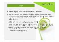 로만손 국내 마케팅전략-4