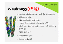 로만손 국내 마케팅전략-19