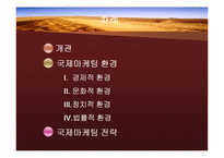 중동의 국제마케팅환경-2