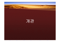 중동의 국제마케팅환경-3