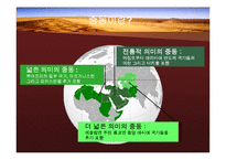 중동의 국제마케팅환경-4