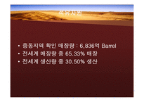 중동의 국제마케팅환경-8