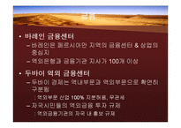 중동의 국제마케팅환경-14