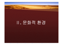 중동의 국제마케팅환경-15