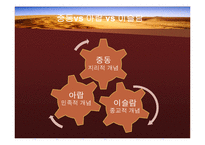 중동의 국제마케팅환경-16