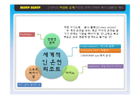 [클럽&리조트 경영론] Baden-Baden, Phoenix island, Six Flags-7