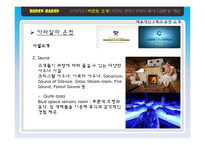 [클럽&리조트 경영론] Baden-Baden, Phoenix island, Six Flags-17