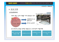 [클럽&리조트 경영론] Baden-Baden, Phoenix island, Six Flags-19