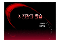 [조직행동론] 무역경영사-17