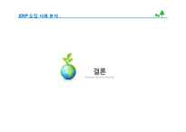 ERP도입 기업 성공과 실패 사례분석-17
