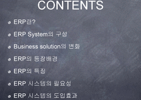 ERP(전사적 자원관리)가 기업생산성에 미치는 영향-2