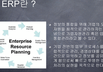 ERP(전사적 자원관리)가 기업생산성에 미치는 영향-4
