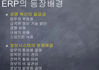 ERP(전사적 자원관리)가 기업생산성에 미치는 영향-7