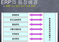 ERP(전사적 자원관리)가 기업생산성에 미치는 영향-8