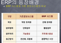 ERP(전사적 자원관리)가 기업생산성에 미치는 영향-9