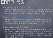 ERP(전사적 자원관리)가 기업생산성에 미치는 영향-10