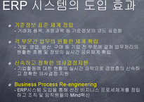 ERP(전사적 자원관리)가 기업생산성에 미치는 영향-13