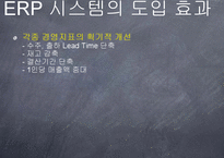 ERP(전사적 자원관리)가 기업생산성에 미치는 영향-14