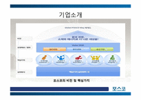 [국제경영] 포스코의 글로벌 경영 -유럽시장 진출전략-6
