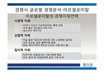 [국제경영] 포스코의 글로벌 경영 -유럽시장 진출전략-14