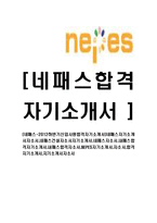 [네패스-공채합격자기소개서]네패스자기소개서자소서,네패스건설자소서자기소개서,네페스자소서,내페스합격자기소개서,내패스합격자소서,NEPES자기소개서,자소서,합격자기소개서,자기소개서자소서-1