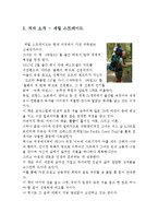 [A+레포트] 와일드 셰릴 스트레이드 비평 독서감상문 서평 독후감-4