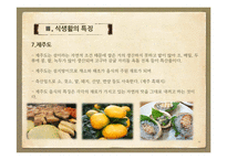 향토음식 레포트-13