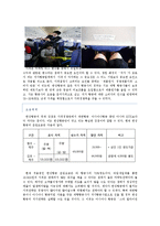 한성항공 마케팅분석과 문제점분석및 앞으로의 전략제안-16