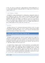 한성항공 마케팅분석과 문제점분석및 앞으로의 전략제안-20