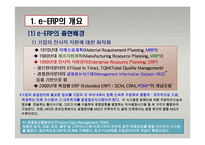 e-비즈니스 전자적 자원관리-4