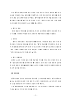 오리온초코파이의 중국시장 마케팅 사례-7