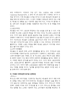 레드불 VS 핫식스 마케팅 4P,STP전략 비교분석및 새로운전략제안-12