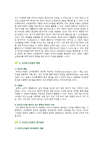 [라이프스타일] 라이프스타일의 마케팅 적용-3