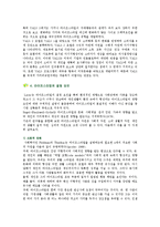 [라이프스타일] 라이프스타일의 마케팅 적용-8