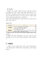 코카콜라 마케팅전략 기획서-12