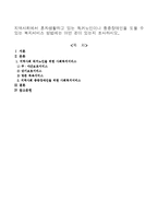 지역사회에서 혼자생활하고 있는 독거노인이나 중증장애인을 도울 수 있는 복지서비스 방법에는 어떤 것이 있는지 조사하시오.-1