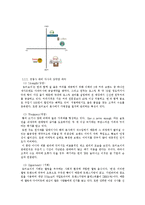 [마케팅] 로티보이 마케팅의 문제점-6